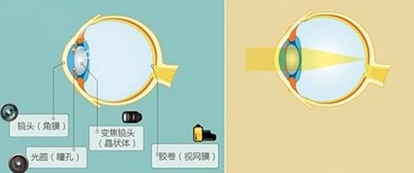 怎么佩戴老花鏡？驗(yàn)光 品牌 質(zhì)量 保養(yǎng)一個都不能少