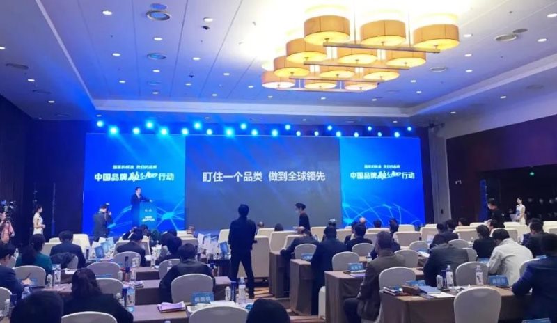 定了！美麗島進了國家隊，新華社專訪