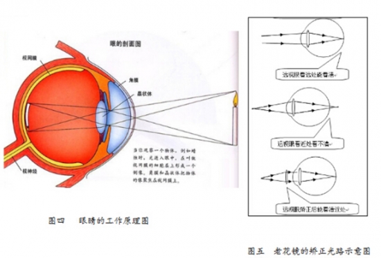 美麗島眼鏡：老花鏡不可隨意亂帶，需要在專業(yè)驗(yàn)光后科學(xué)配制